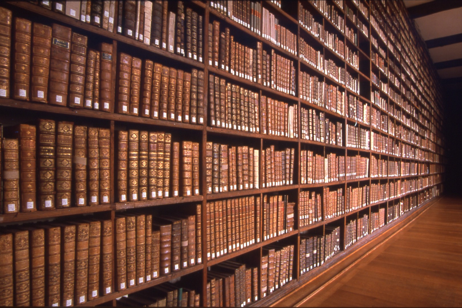 biblioteka-sciana z ksiazkami